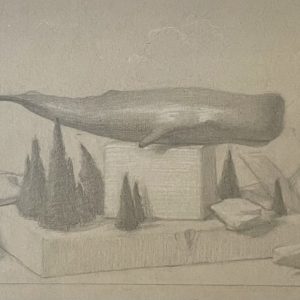 Segundo estudio para la ballena